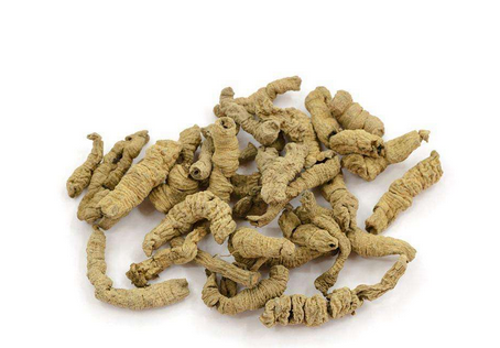 中医陈庆强重用巴戟天治肺癌咳嗽经验