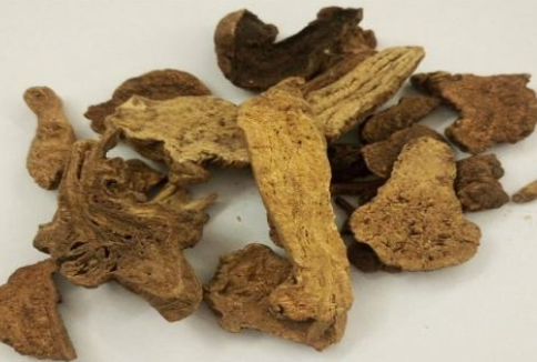 中医禹晓红重用白术通便经验医案