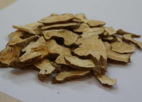 中医施汉章重用白术通便经验医案