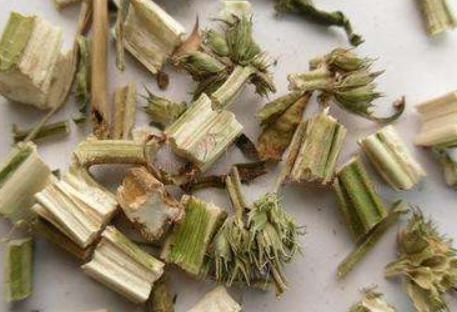 茅正义重用益母草治水肿经验医案