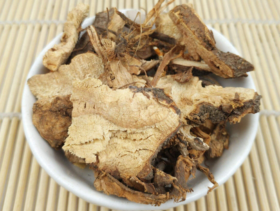 中医重用苎麻根经验医案