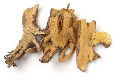 颜德馨重用虎杖调节血细胞经验