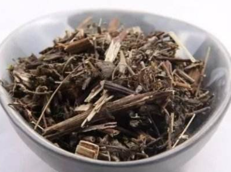 朱晓鸣重用豨莶草降血沉经验