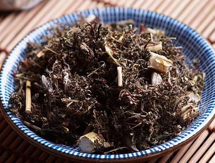 陈湘君重用青蒿治红斑狼疮经验