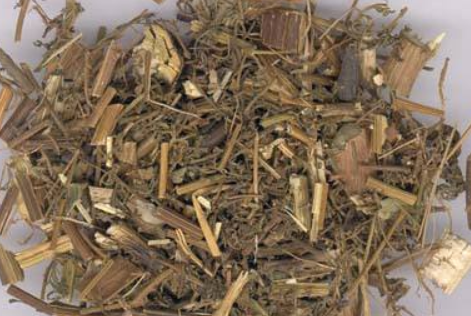 王瑞霞重用青蒿治小儿发热经验