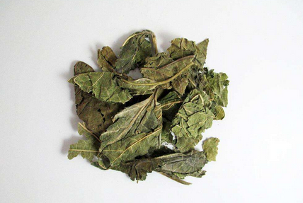 王琦重用桑叶止汗经验医案