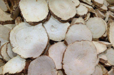 陈玉峰重用白芷通乳经验医案