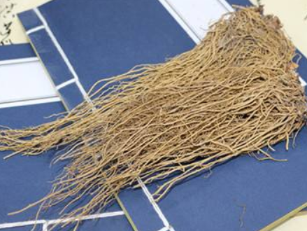 陶治平重用细辛治疗重症肌无力经验医案