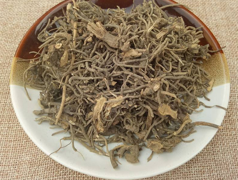 刘沛然重用细辛治泪囊炎(冷泪症)经验医案