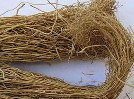 邵长荣重用细辛治疗哮喘经验医案
