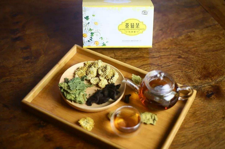 桑叶菊花配伍机制、临床应用与现代研究功效作用