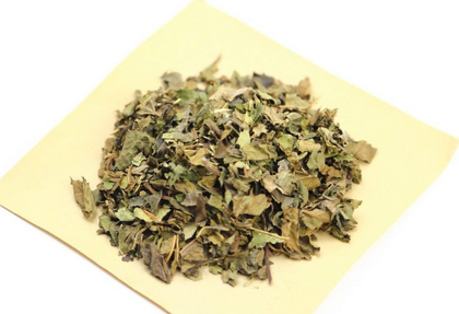 桑叶的主治病证与临床新用
