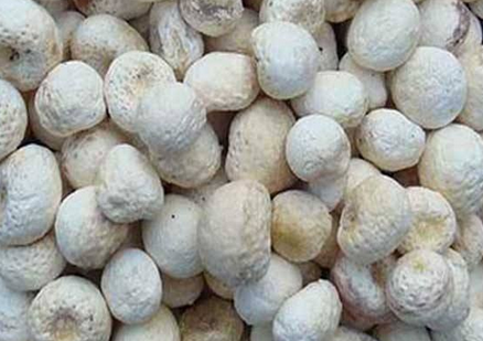 姜附茯半汤加味治疗疖疮医案案例