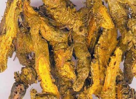 黄连解毒汤合大黄牡丹皮汤的作用功效、主治病症、临床应用