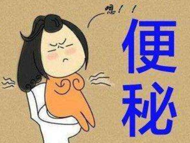 乌梅丸加减治疗便秘医案案例