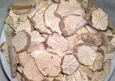 防己黄芪汤合四君子汤的作用功效、主治病症、临床应用