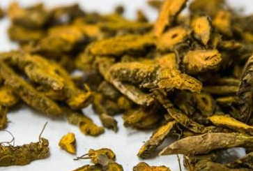白虎汤合黄连解毒汤合犀角地黄汤的作用功效、临床应用