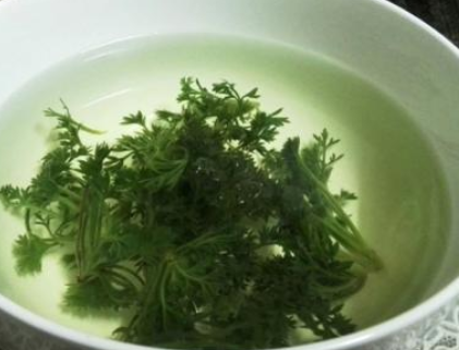 大柴胡汤合茵陈蒿汤的作用功效、主治病症、临床应用
