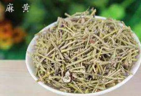麻黄细辛附子汤合麻黄杏仁薏苡甘草汤的作用功效临床应用