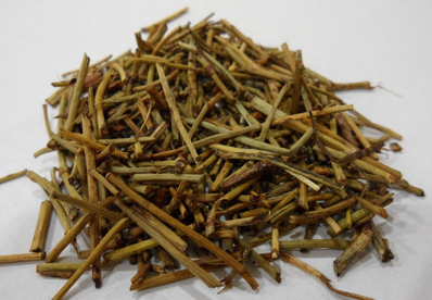痹证麻黄附子细辛汤加味