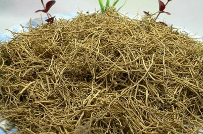 麻黄附子细辛汤用方新思路、用药新认识、随证变化用药