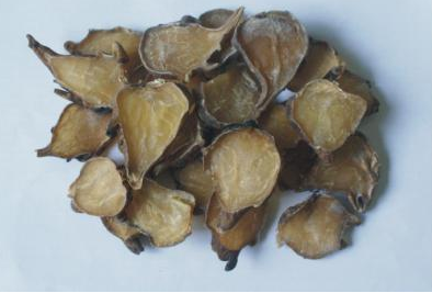 少阴病麻黄附子细辛汤证