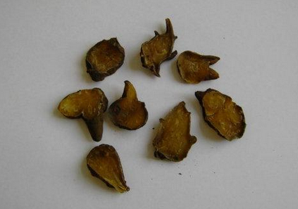 桂枝去芍药加麻黄细辛附子汤原文解读与应用