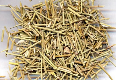 麻黄细辛附子汤临床发挥、方药用法、方证释义