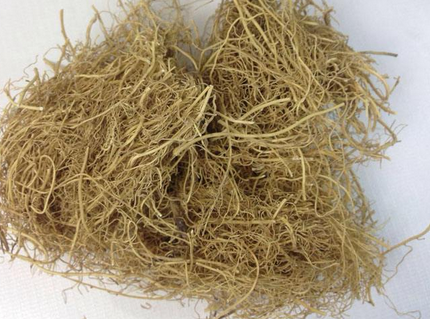 巴戟天吴茱萸细辛贴脐的功效与作用_巴吴细辛散治阳痿