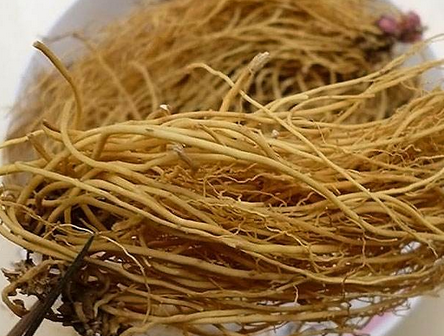 细辛茶泡水的配方、做法、作用与功效
