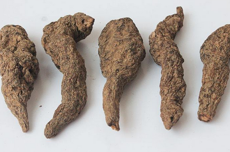 糖尿病的人能吃地黄吗?地黄治疗糖尿病的中药偏方