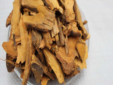 虎杖柴胡汤的组成、药方、作用与功效