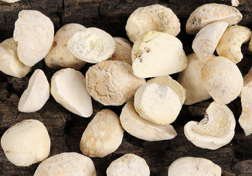 半夏在半夏泻心汤、厚朴汤、白术天麻汤中的配伍意义有何不同?