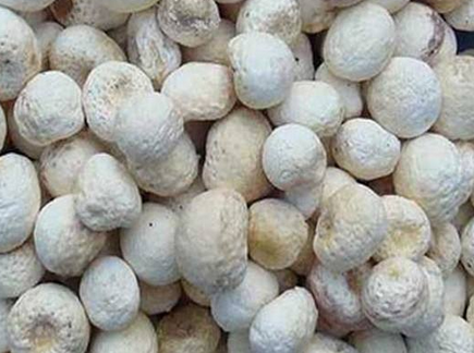 为何有些梅核气用半夏厚朴汤效果不理想?