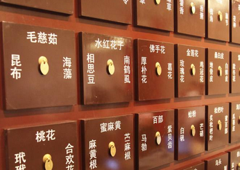 升降浮沉是指药物的什么?