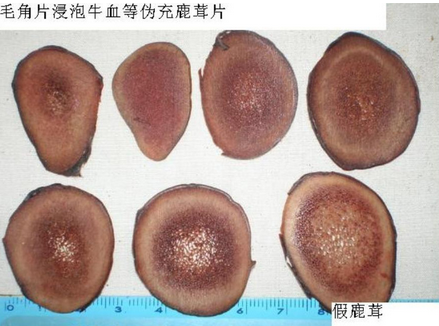 鹿茸片真假伪劣的鉴别方法_如何区分鹿茸片质量的好坏