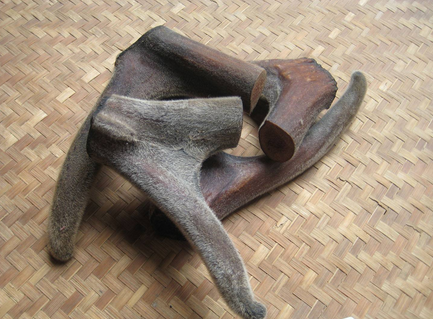 鹿茸的真空冷冻加工流程与方法
