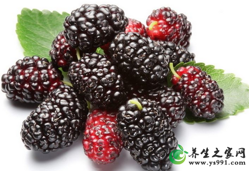 桑葚小验方_民间桑葚偏方