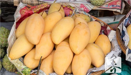 哺乳期吃芒果好吗