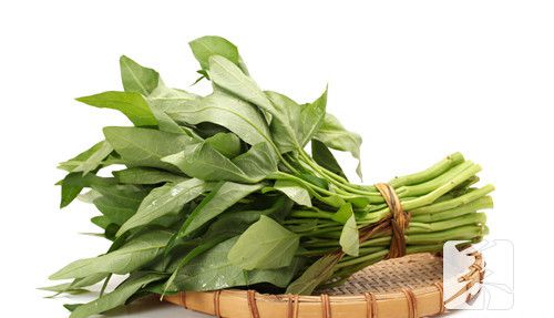 茄子可以和空心菜一起吃吗？