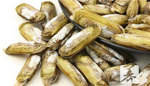 蛏子怎么做好吃？这些做法味道好！