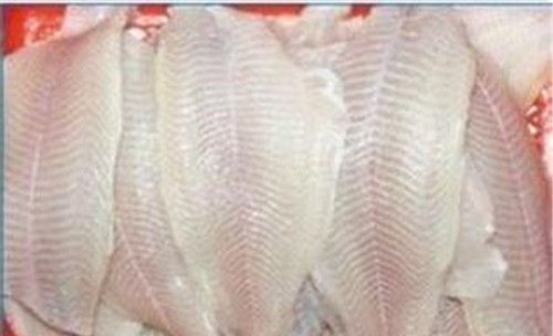 怀孕可以吃鱼肉吗？怀孕吃什么比较好