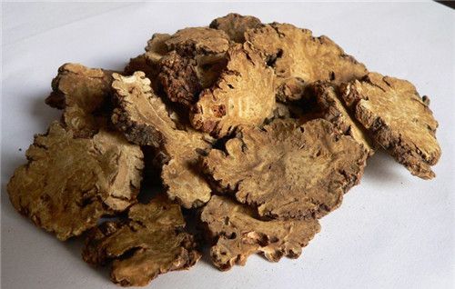 怀孕可以吃川芎吗？怀孕吃什么比较好