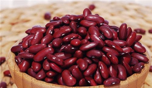 怀孕可以吃红芸豆吗？怀孕吃什么比较好