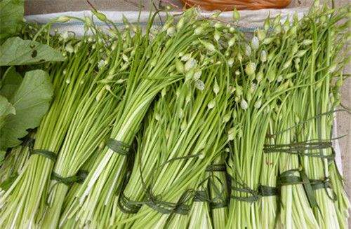 怀孕可以吃菜苔吗？怀孕吃什么比较好