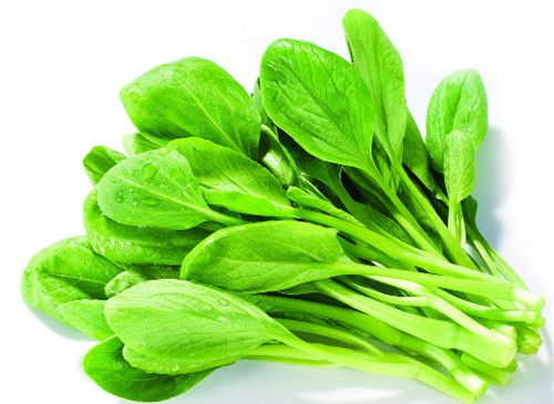 怀孕可以吃鸡毛菜吗？怀孕吃什么比较好