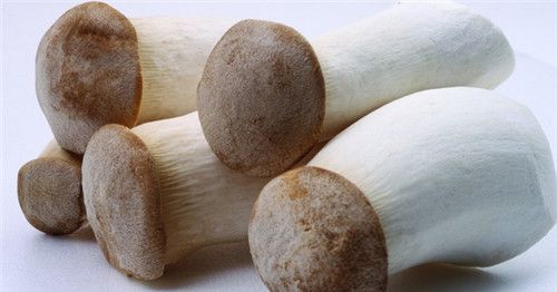 怀孕可以吃鸡腿菇吗？怀孕吃什么比较好