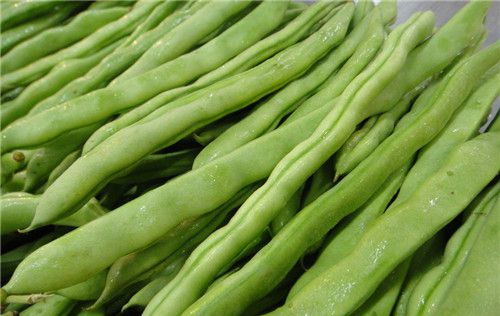怀孕可以吃四季豆吗？怀孕吃什么比较好