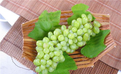 怀孕可以吃提子吗？怀孕吃什么比较好