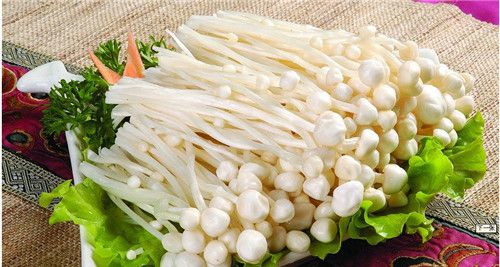 怀孕可以吃金针菇吗？怀孕吃什么比较好